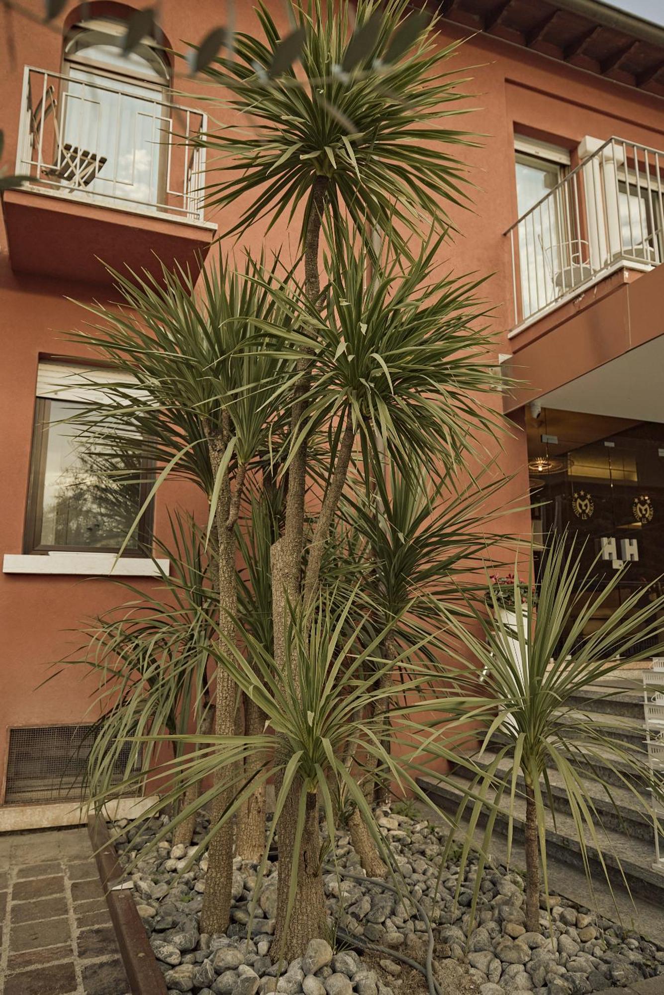 Le Mura Hotel Lazise